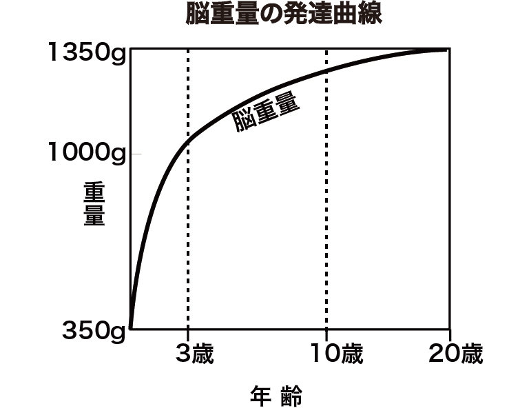 脳重量の発達曲線